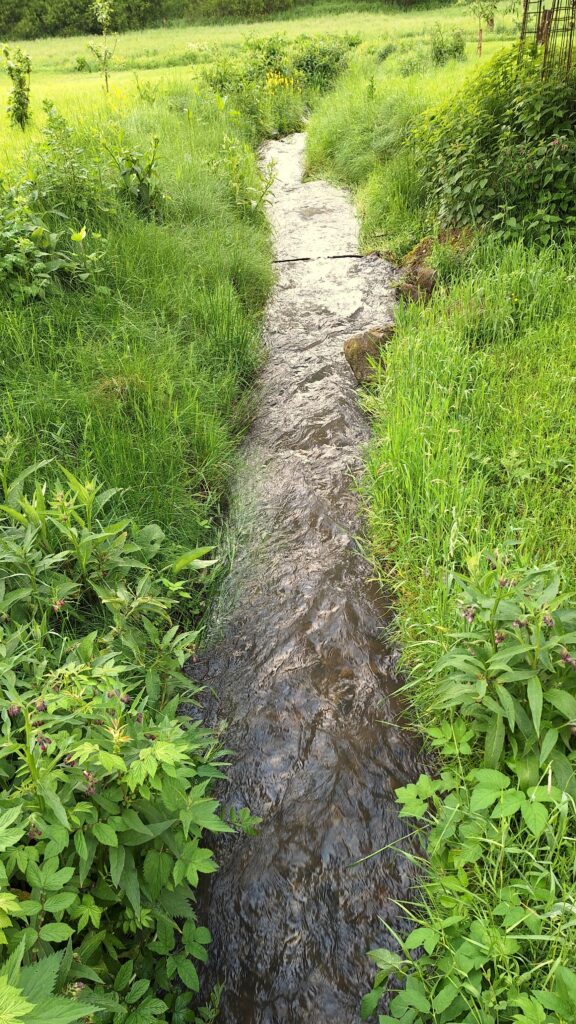 Anitzfotografie an der Schmitter Mühle - ein Bachlauf durch die Wiesen der Schmitter Mühle.